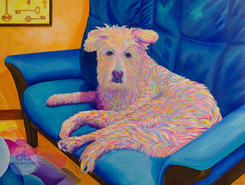 Stella dog portrait